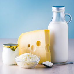 Dairy products and milk processing